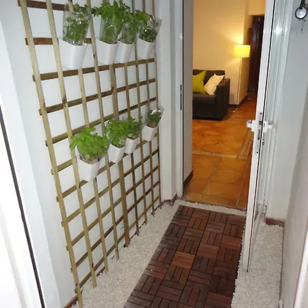 Casa vacanze Center Valenza